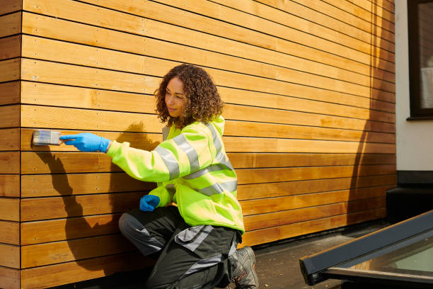 Best Vinyl Siding Installation  in Los Chaves, NM