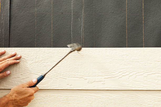Best Aluminum Siding Installation  in Los Chaves, NM